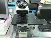 MX61
